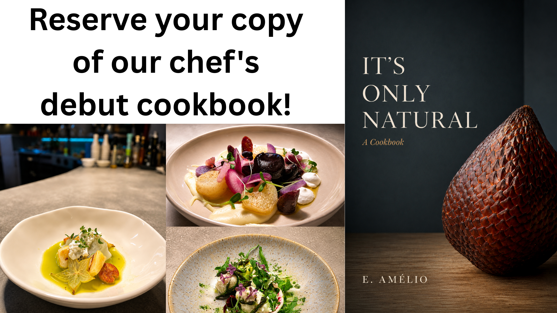 Oliveira Kitchen's Cookbook